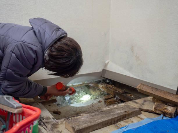 Best Mold Odor Removal Services  in Kootenai, ID