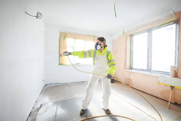 Best Black Mold Removal  in Kootenai, ID