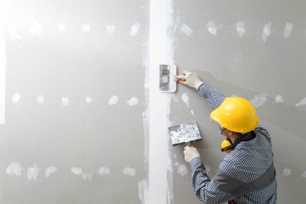 Best Mold Documentation for Insurance Claims  in Kootenai, ID