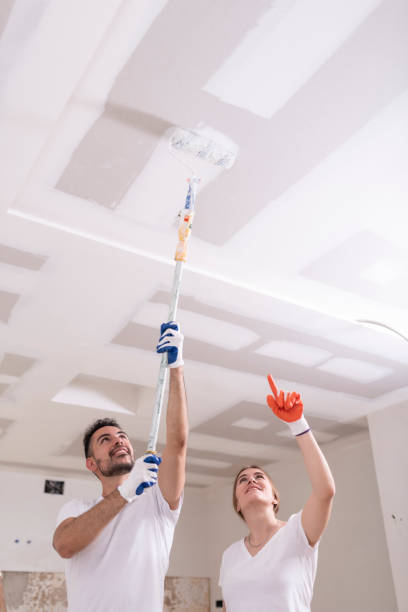 Best Mold Odor Removal Services  in Kootenai, ID