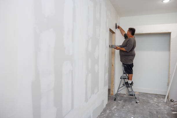 Best Real Estate Mold Inspection  in Kootenai, ID