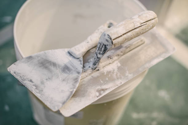 Forensic Mold Investigation in Kootenai, ID