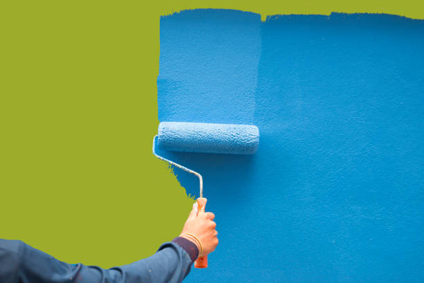 Best Attic Mold Removal  in Kootenai, ID